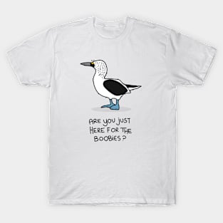 Grumpy Booby T-Shirt